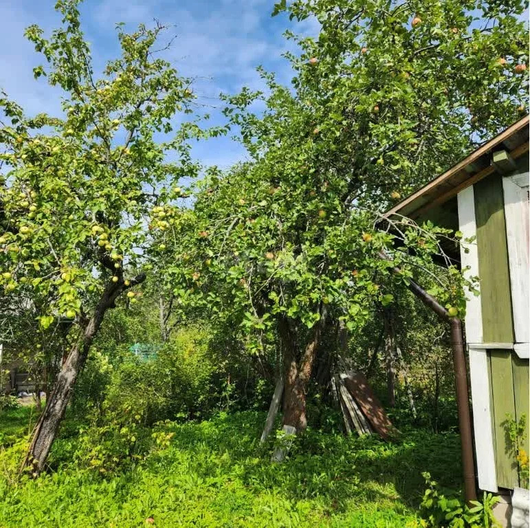 Продажа дома, Серпуховский район, СНТ Люблинский Садовод - Фото 5