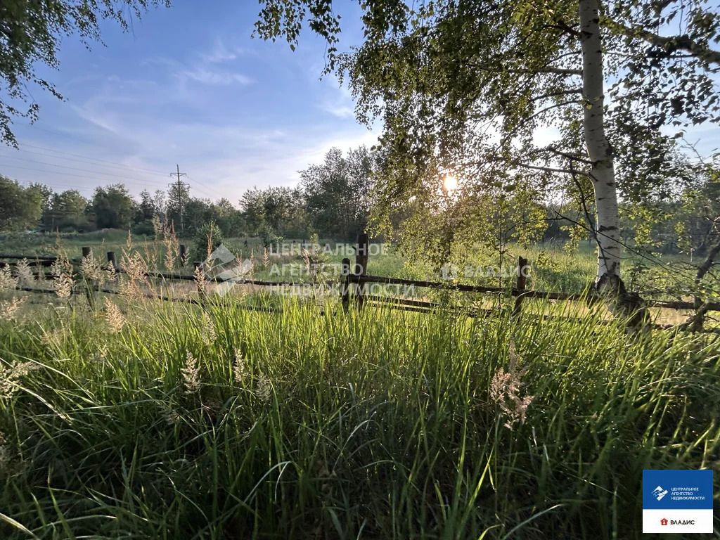 Продажа участка, Болонь, Клепиковский район - Фото 9