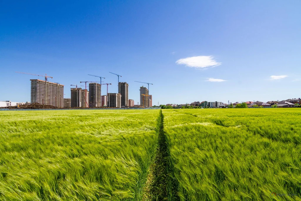 Продажа земельного участка, Знаменский - Фото 1