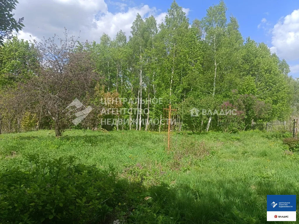 Продажа дома, Абакумово, Пронский район, Веселая улица - Фото 12