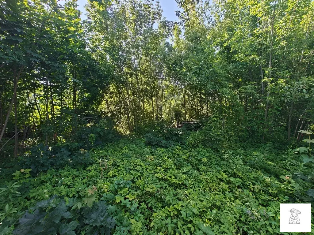 Земельный участок в Королеве - Фото 3