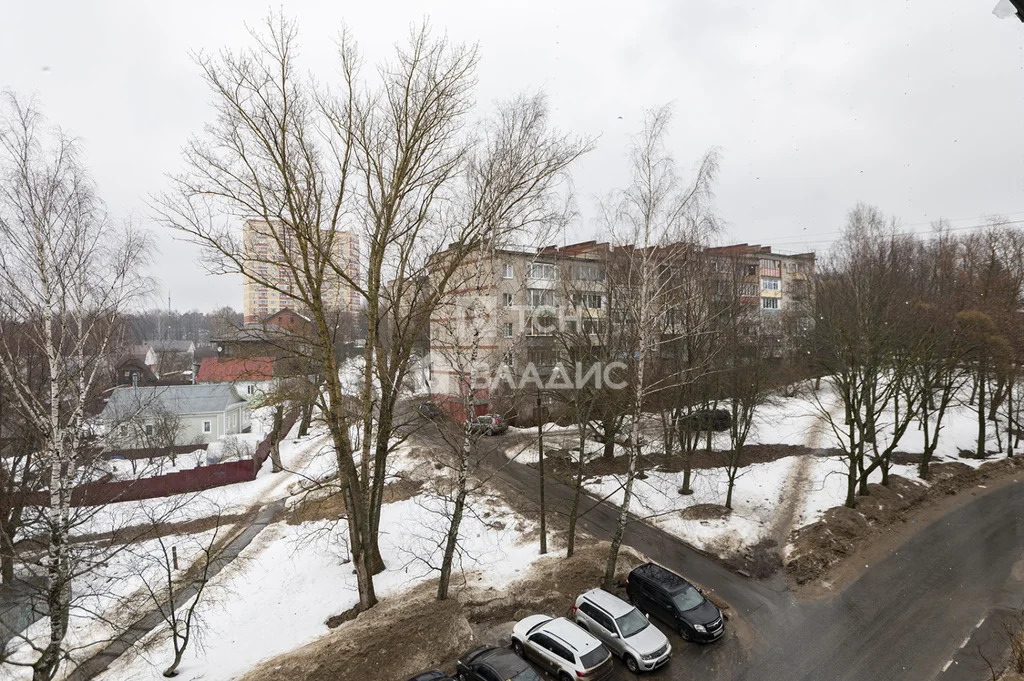 городской округ Пушкинский, Красноармейск, микрорайон Северный, д.10, ... - Фото 30