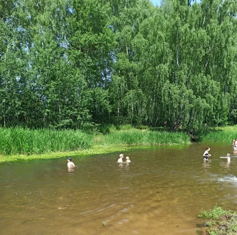 Участок с Домом (брус. коробка) в стародачном месте Подмосковья - Фото 11