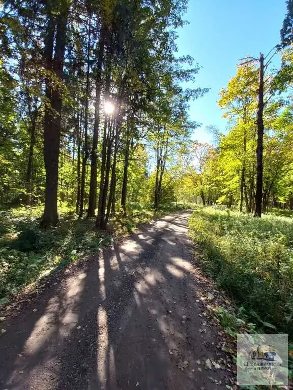 Продается участок 54 км Ленинградского шоссе - Фото 1