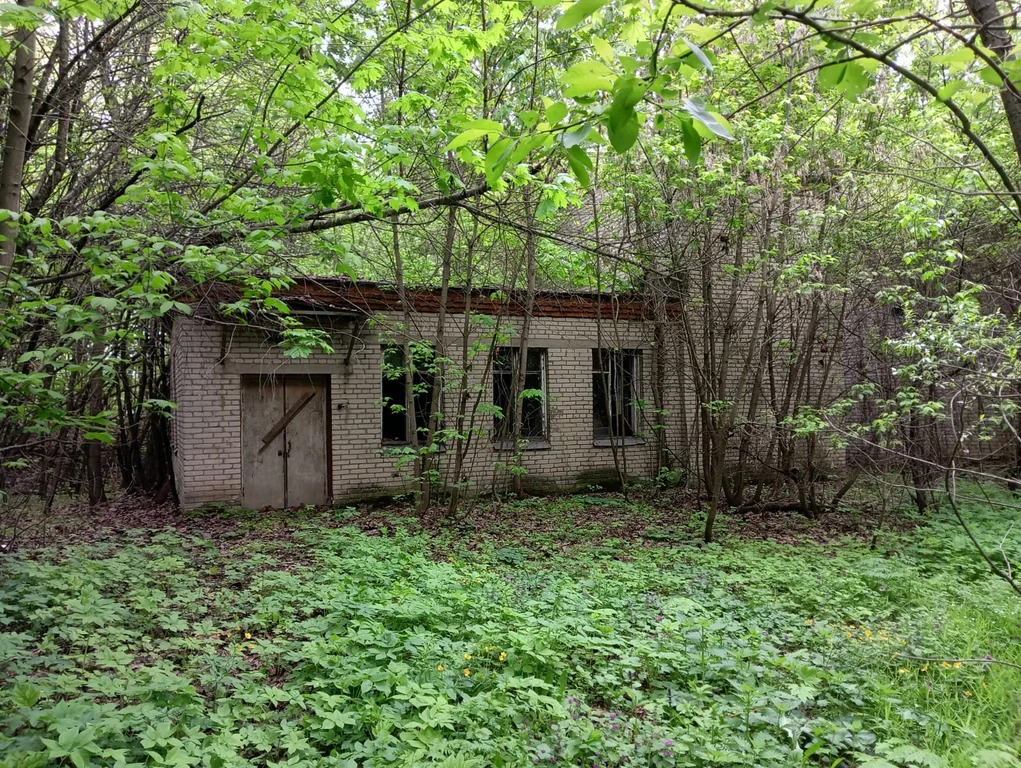 Продается Земельно-имущественный комплекс 1060.3 м2 - Фото 4