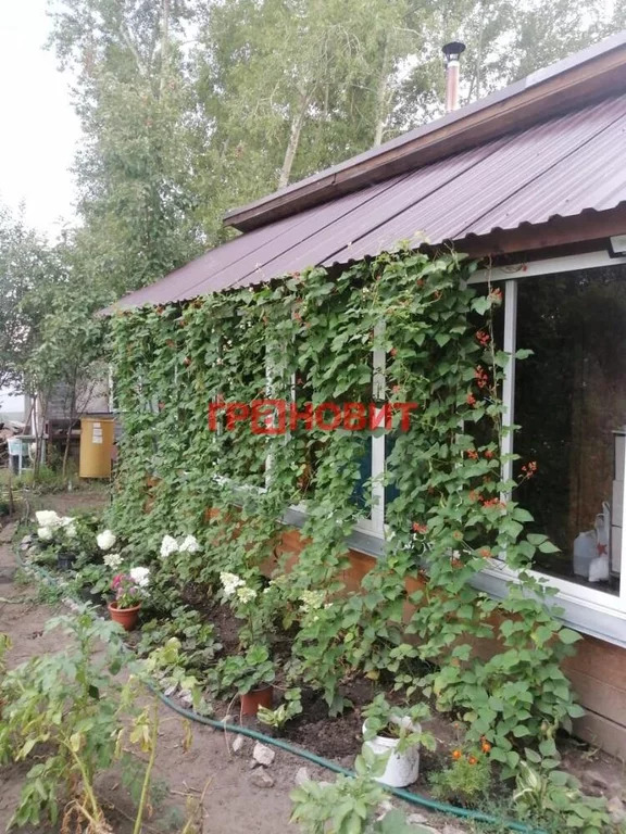 Продажа дома, Новосибирск - Фото 17