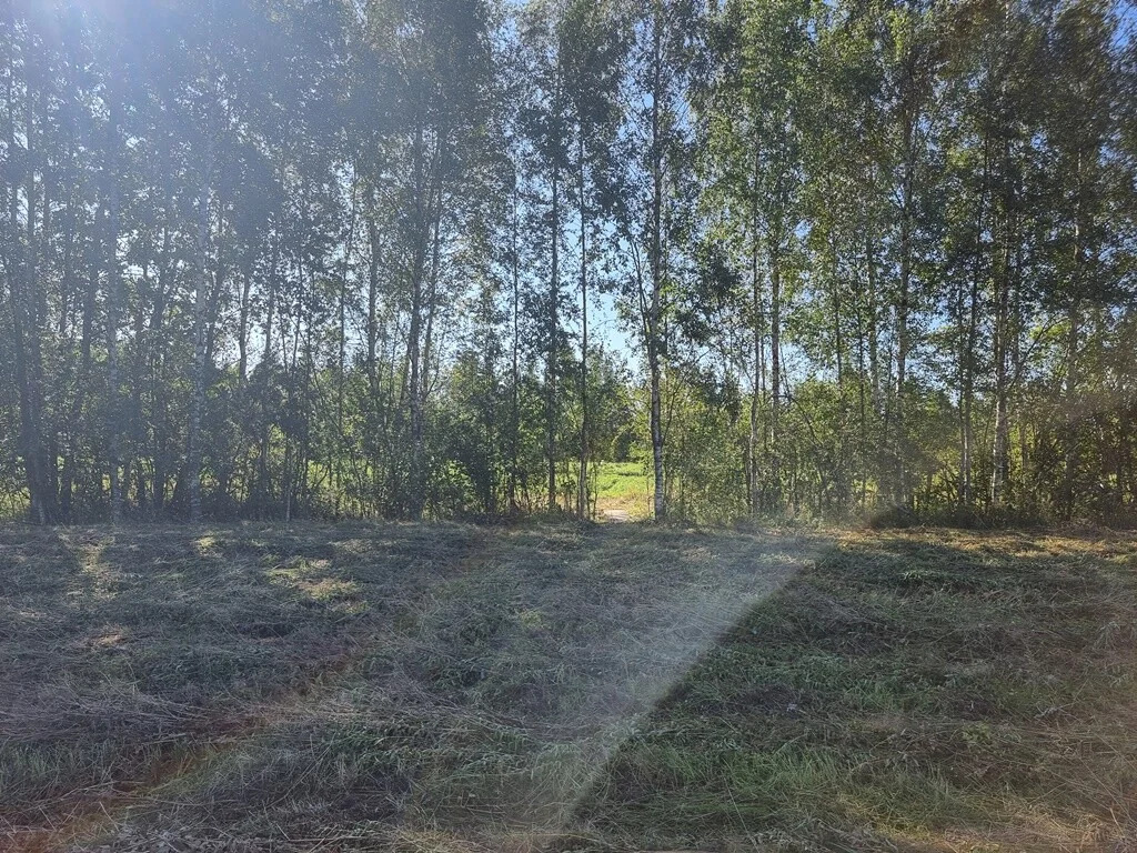 Продажа участка, Большие Пороги, Всеволожский район - Фото 9