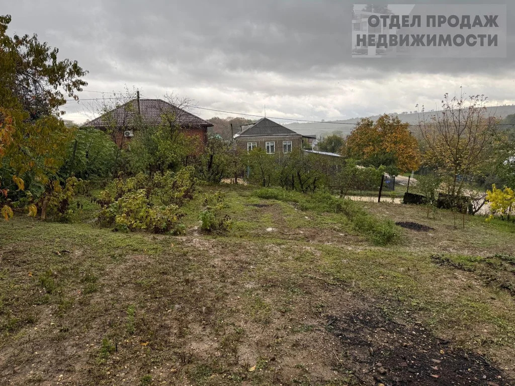 Участок - Фото 4