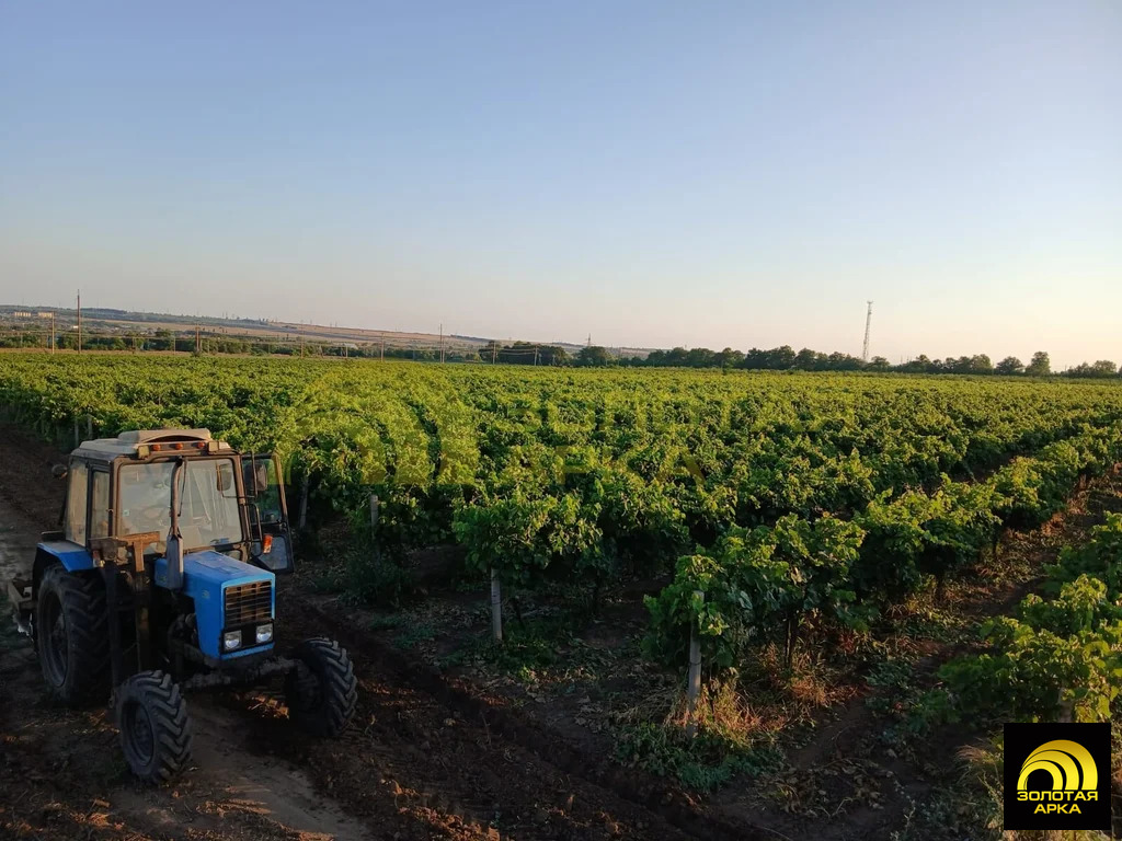 Продажа участка, Старотитаровская, Темрюкский район, Ильича пер. - Фото 1