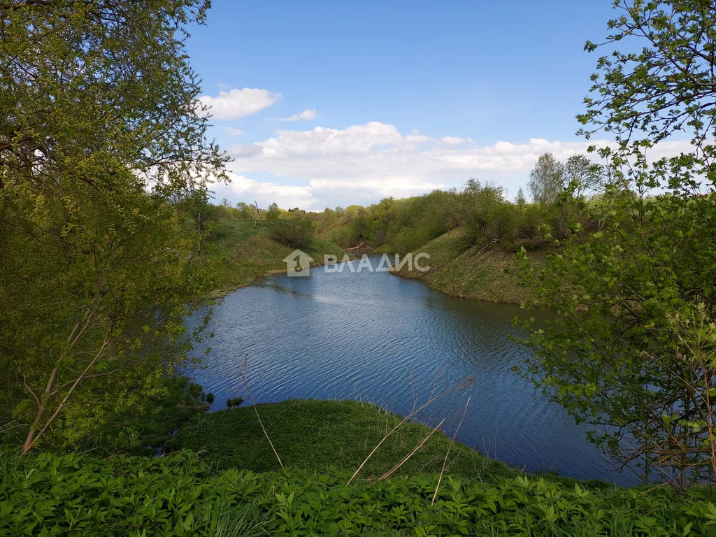 Юрьев-Польский район, село Андреевское, Озёрная улица,  дом на продажу - Фото 12