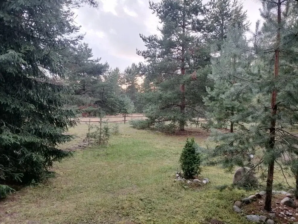 Продажа дома 100 кв.м. на участке 25 сот. - Фото 5