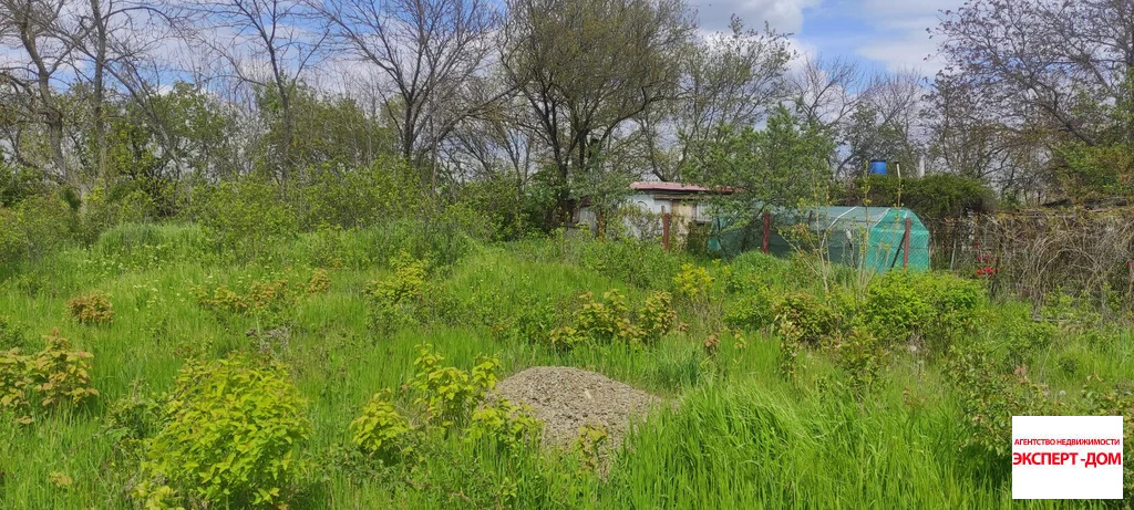 Продажа участка, Мержаново, Неклиновский район, Голубые ели сад - Фото 7