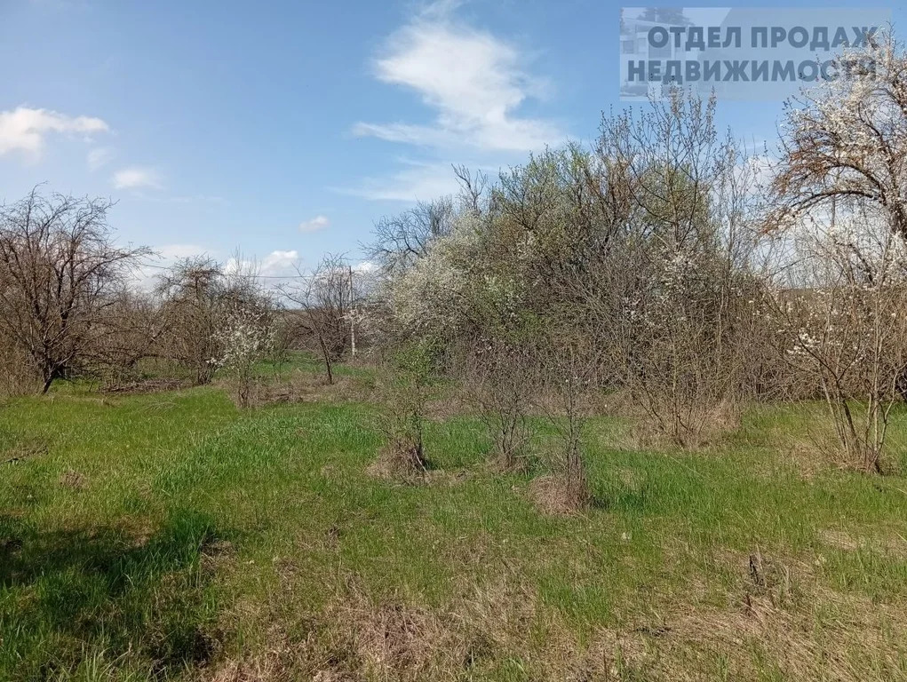 Участок на Озерках - Фото 3