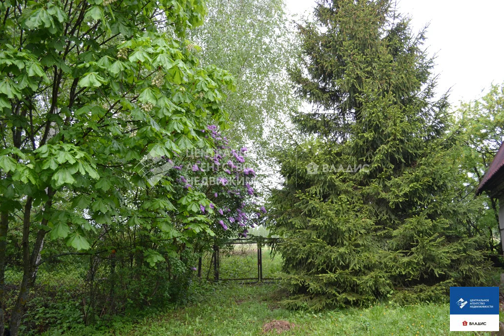 Продажа дома, Сорокино, Рязанский район, 24 - Фото 13