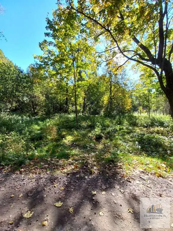 Продается участок 54 км Ленинградского шоссе - Фото 5