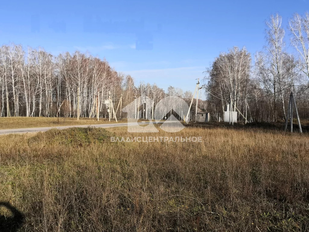 Новосибирский район, дачное некоммерческое партнерство Лазурный берег, ... - Фото 6