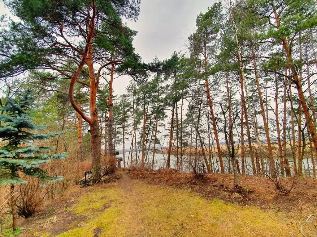 Участок на высоком берегу Москва - реки в Барвихе, Рублевка 5 км. - Фото 1