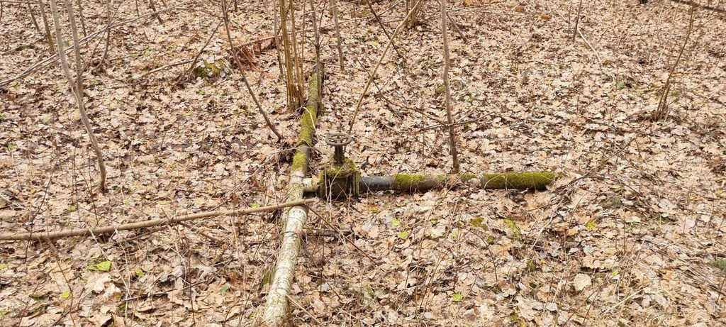 База отдыха "Лесные дали" - Фото 13