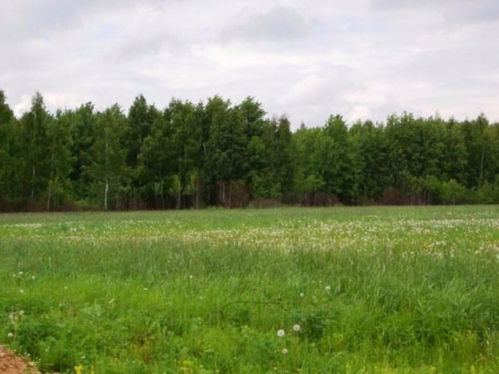 Участок в нижнем. Участок рядом с Петрозаводском. Дачный поселок Звездная аллея. Земельный участок n 141-м/12 Республика Карелия. Земельные участки рядом с Петрозаводском.