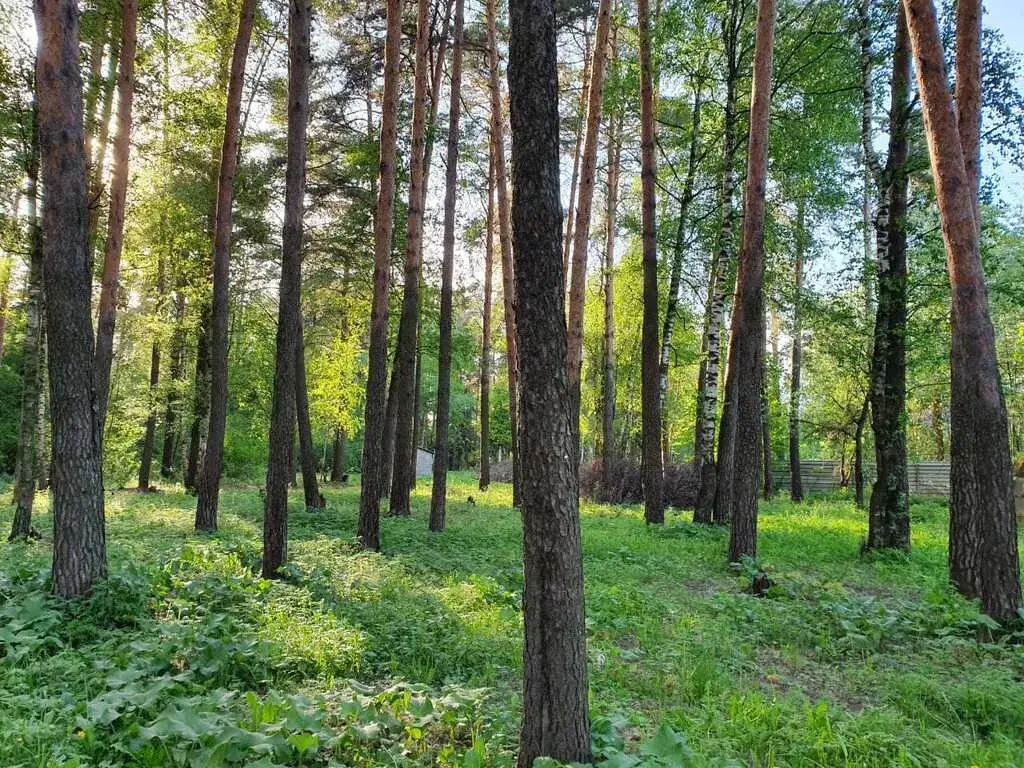 Земля михнево