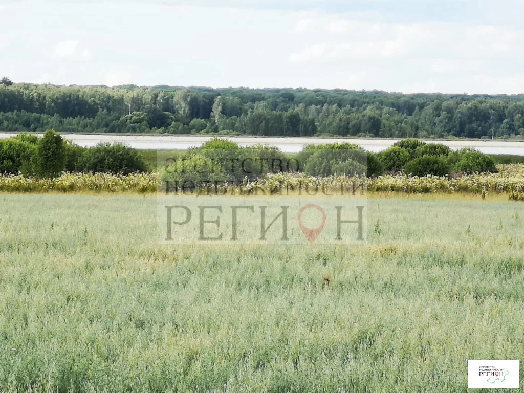 Продажа участка, Коростелево, Боровский район - Фото 10