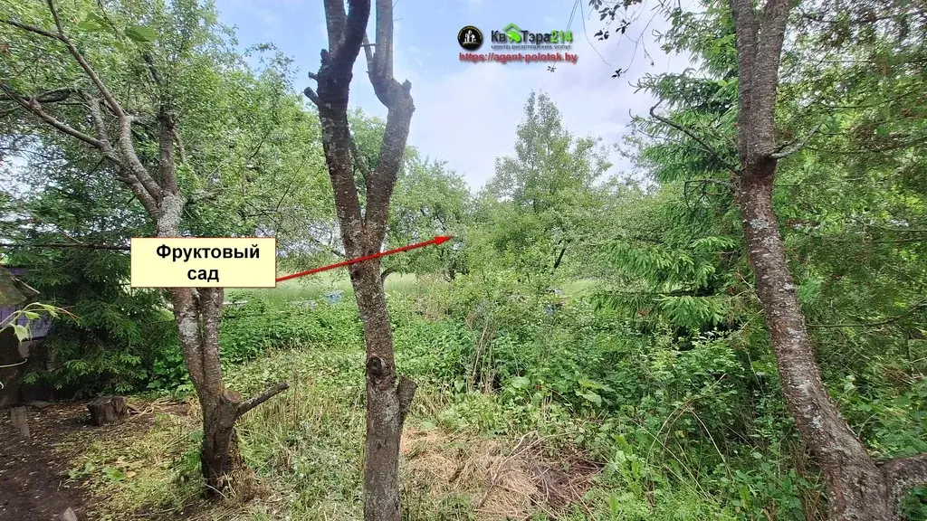 продам дом в Беларуси на Берегу Зап.Двины - Фото 22