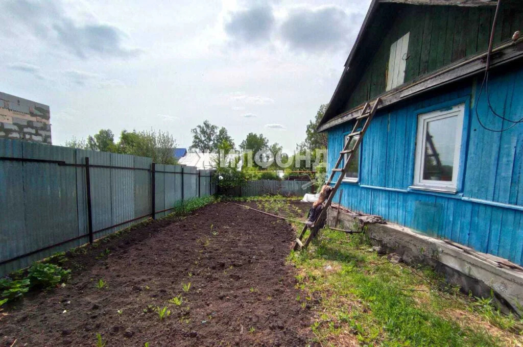 Продажа дома, Раздольное, Новосибирский район, Пруса - Фото 8