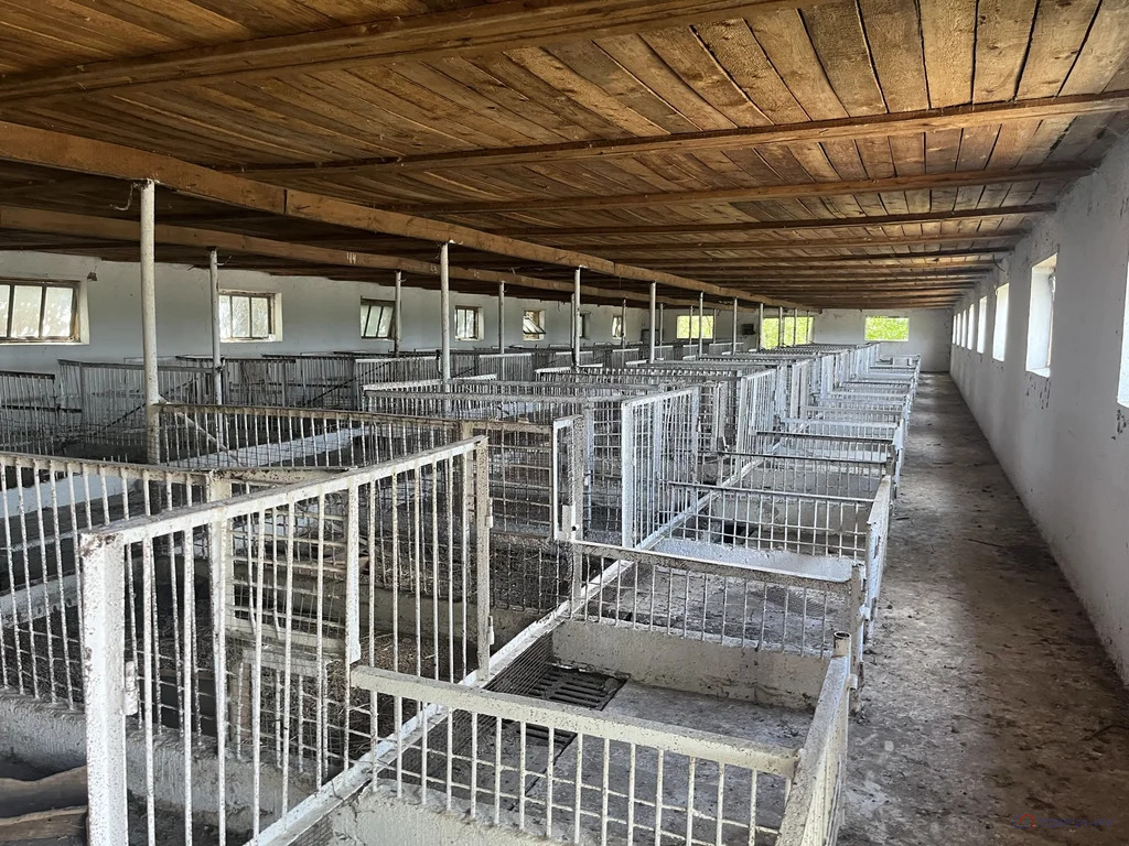 Продажа производственного помещения, Новоалександровск, ... - Фото 17