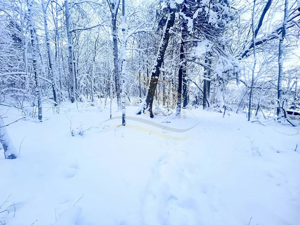 Продажа участка, Сокольники, Дмитровский район - Фото 8