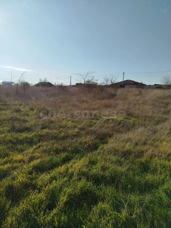 Продажа участка, Севастополь, территория ЗАО имени Софьи Перовской - Фото 5