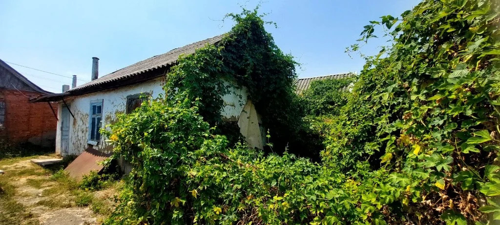 Продажа дома, Афипский, Северский район, ул. Ленинградская - Фото 24