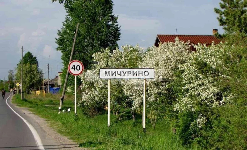 Село мичурина