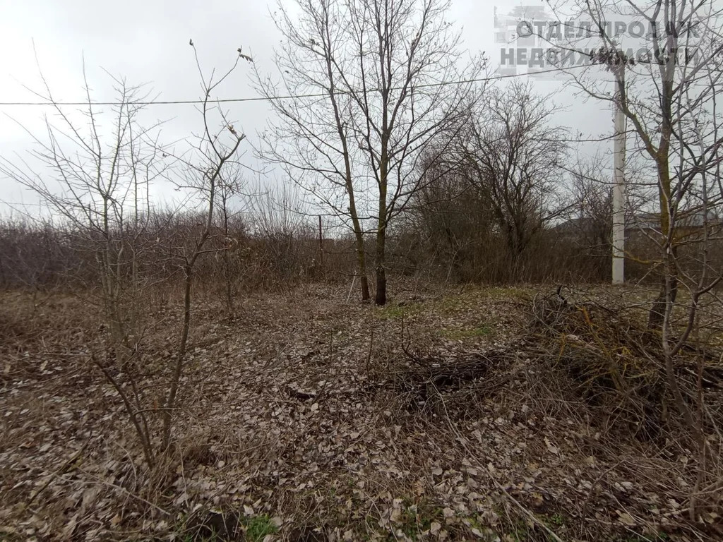 Участок - Фото 7