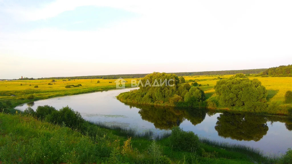 Суздальский район, село Спасское Городище,  дом на продажу - Фото 27