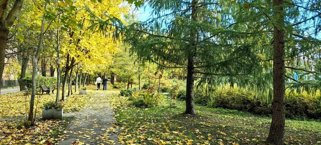 2-к.п.Барвиха, д.14 - Фото 23