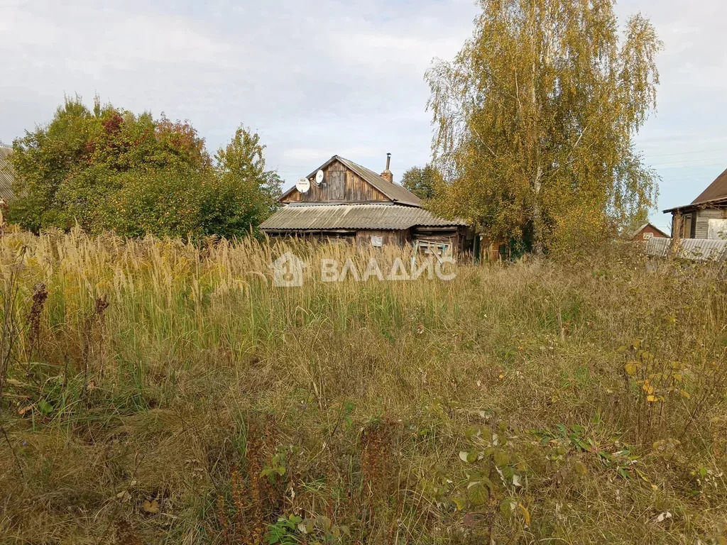 Суздальский район, деревня Песочное, Центральная улица,  дом на ... - Фото 15