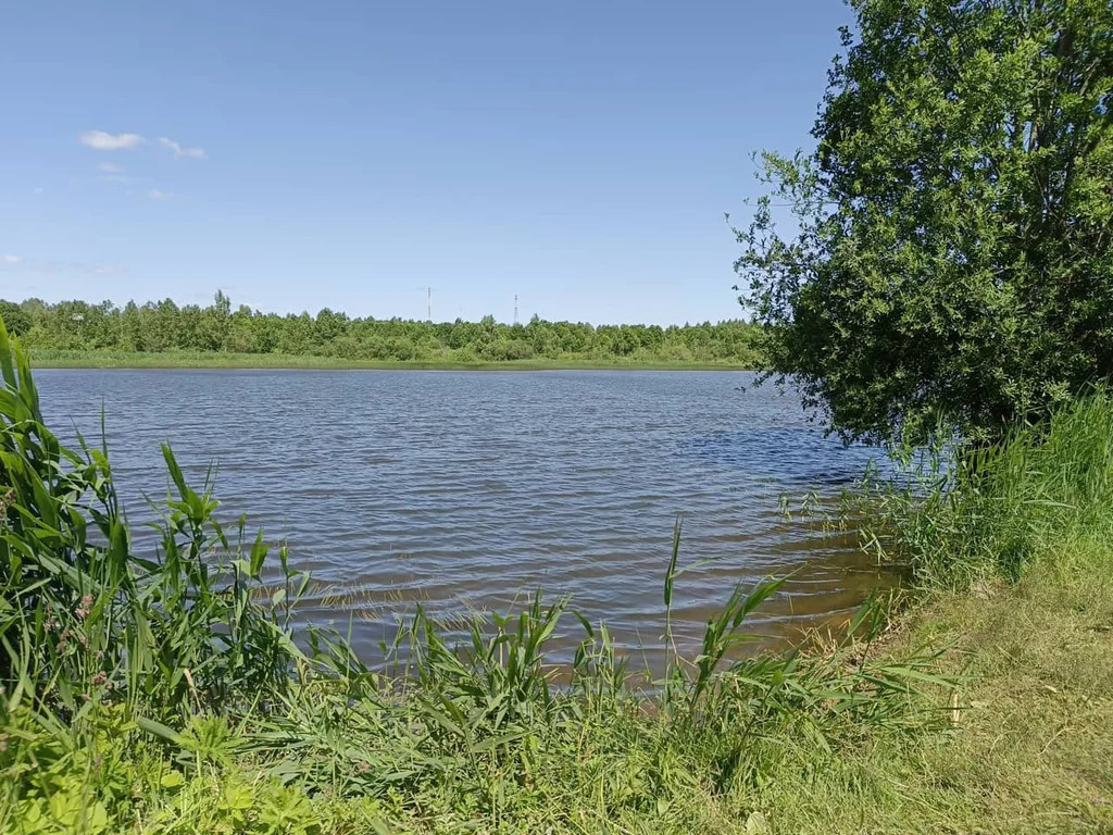 Продажа участка, Щемелинки, Шаховской район, Ягодная улица - Фото 7