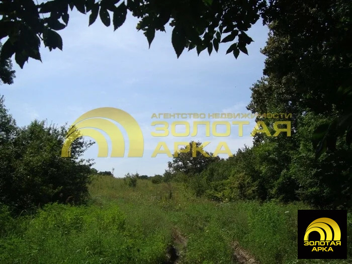 Продажа участка, Смоленская, Северский район, ул. Советская - Фото 8