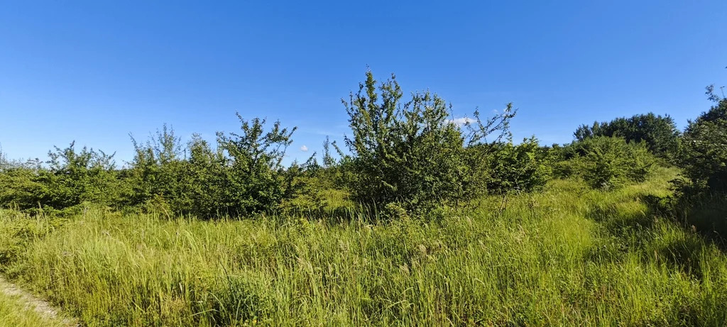 Продажа участка, Григорьевская, Северский район - Фото 4
