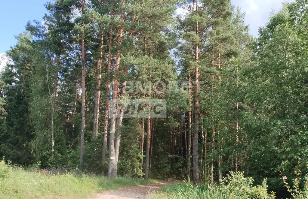Продажа дома, Талдом, Талдомский район - Фото 39