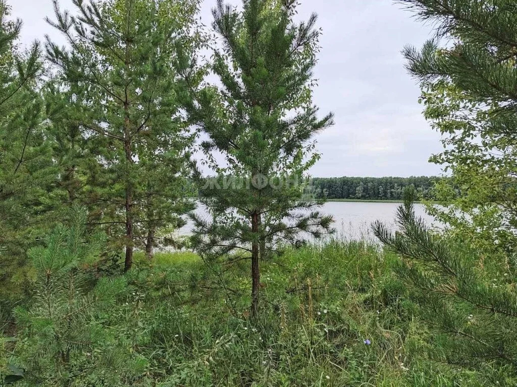 Продажа дома, Милованово, Ордынский район, ул. Береговая - Фото 0