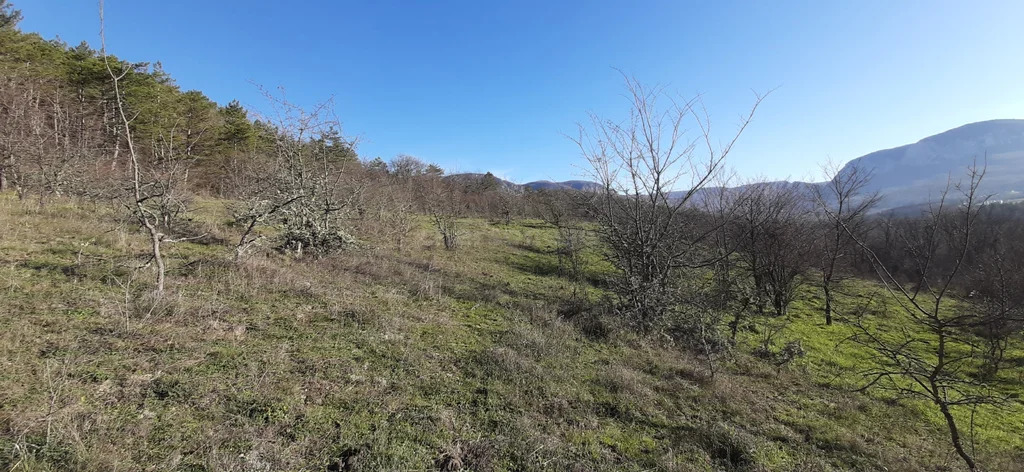 Продажа участка, Аромат, Бахчисарайский район, ул. Ялтинская - Фото 3