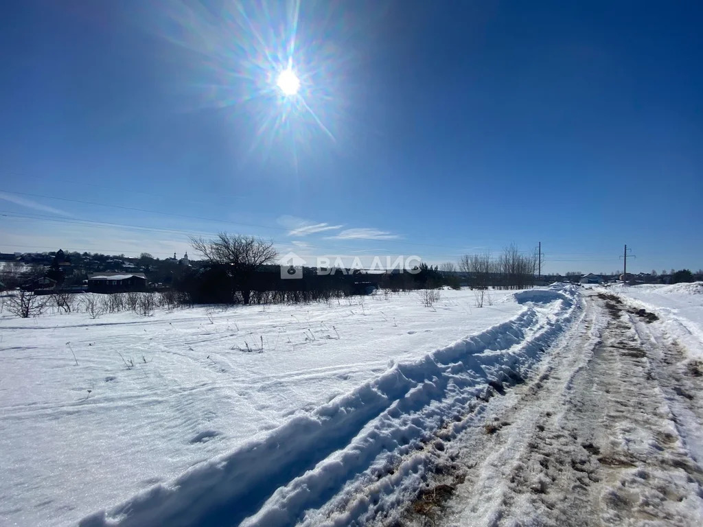 Суздальский район, село Богослово,  земля на продажу - Фото 5