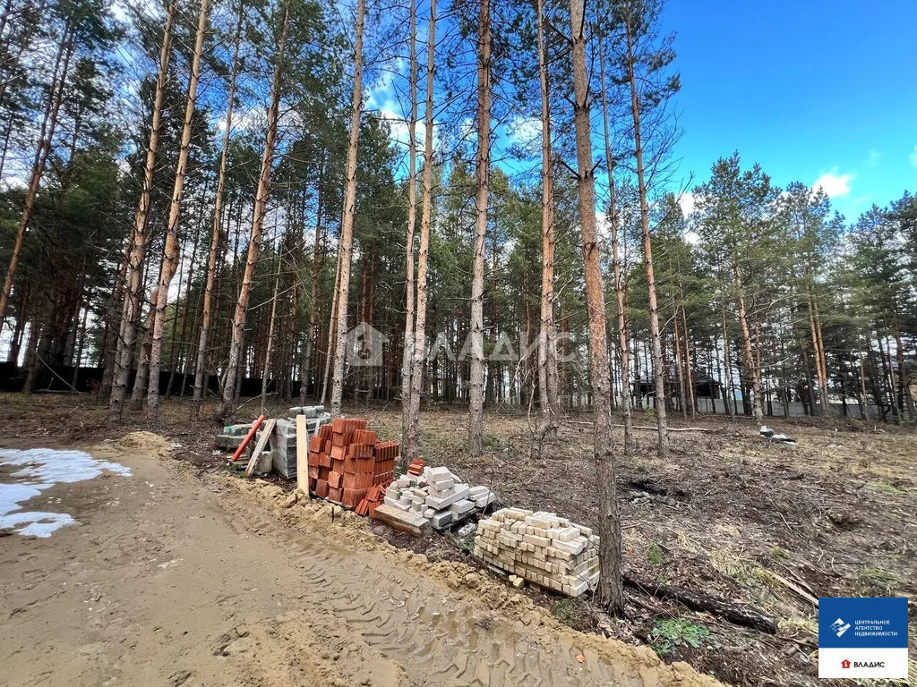Продажа участка, Алеканово, Рязанский район, Лесная улица - Фото 7