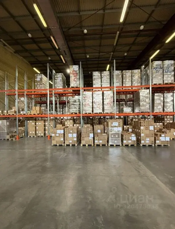 Продажа склада 7500.0м ул. Центральная, 17В, Московская область, ... - Фото 2