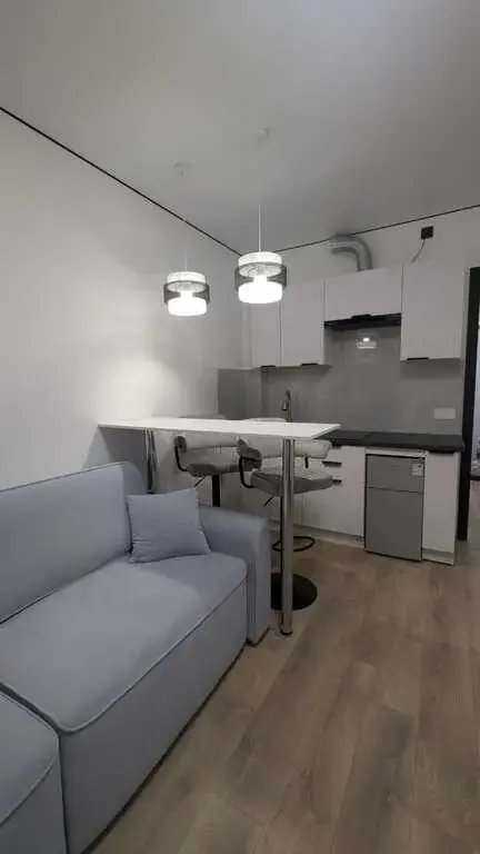 Сдается апартаменты-студия, 22,4 м2 в ЖК «Clementine (Клементин)» - Фото 1