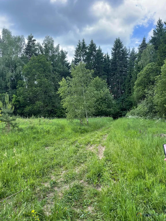 Продажа участка, Лаговское, Подольский район - Фото 3