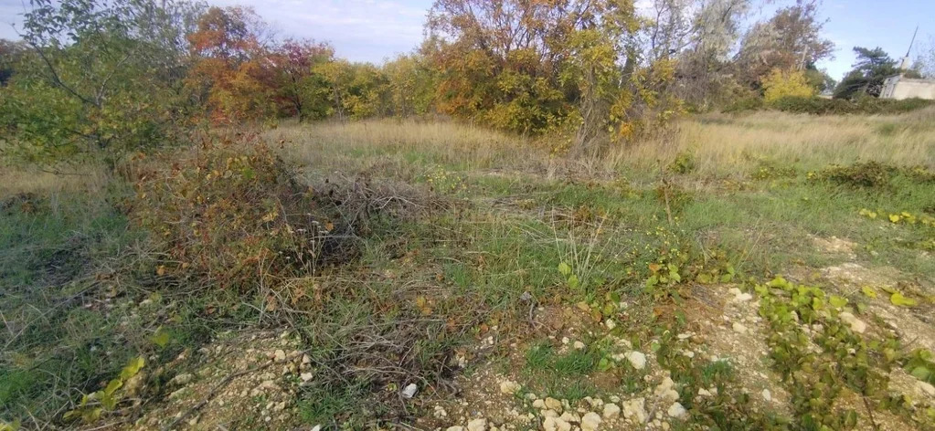 Продажа участка, Севастополь, территория ЗАО имени Софьи Перовской - Фото 6