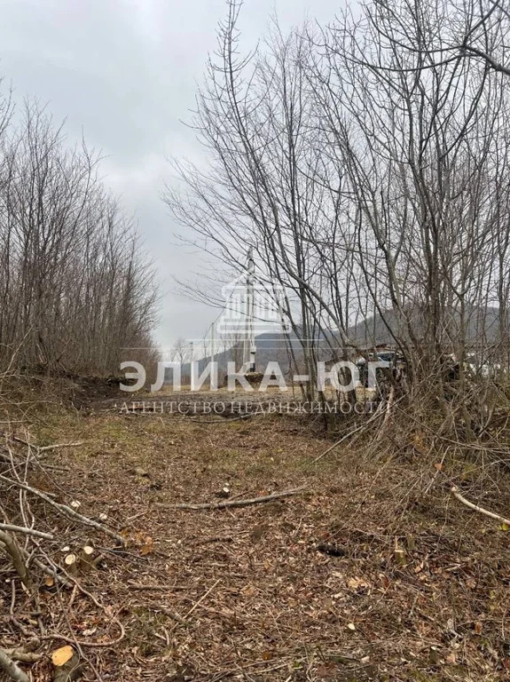 Продажа участка, Бжид, Туапсинский район, мкр. Юг - Фото 3