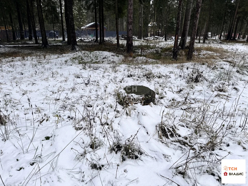 Продажа участка, Могильцы, Лотошинский район - Фото 9